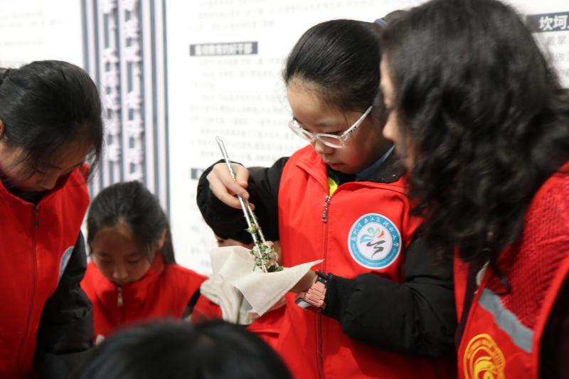 IMG_7123.JPG IMG_7123.JPG