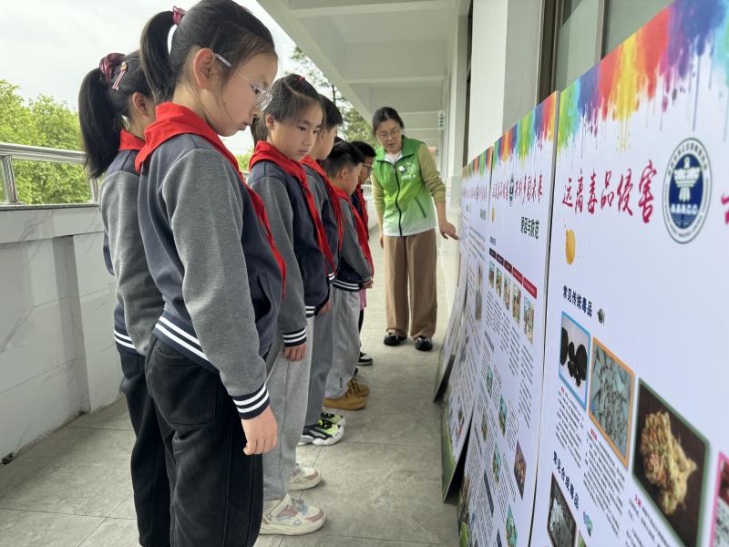 IMG_5279.JPG IMG_5279.JPG