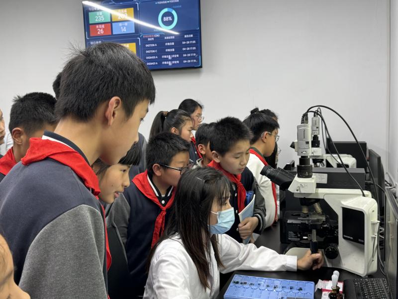 IMG_5561.JPG IMG_5561.JPG