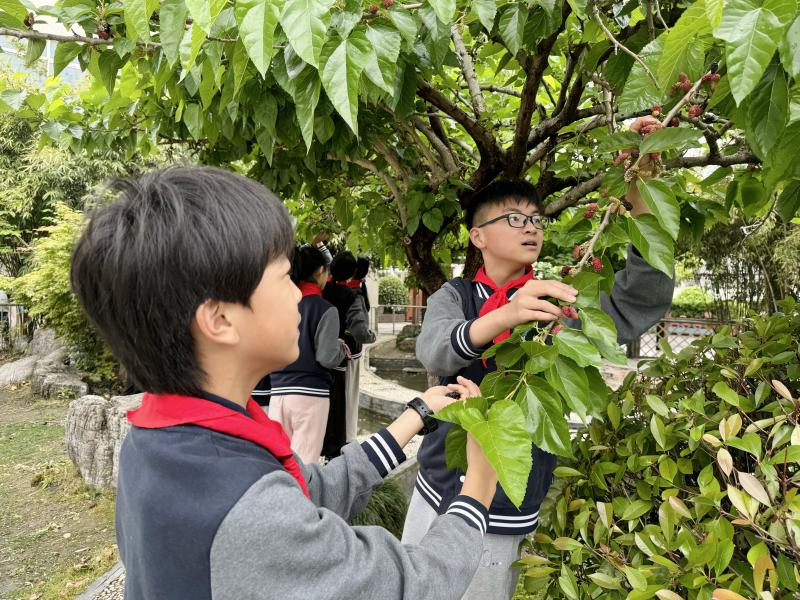 IMG_5533.JPG IMG_5533.JPG