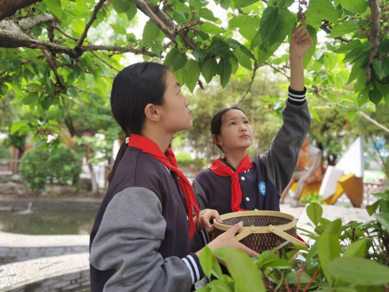 IMG_5539(20240428-162849).JPG IMG_5539(20240428-162849).JPG