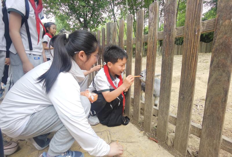 IMG_20240521_133952.jpg IMG_20240521_133952.jpg