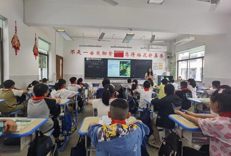 mmexport1728379107953.jpg mmexport1728379107953.jpg