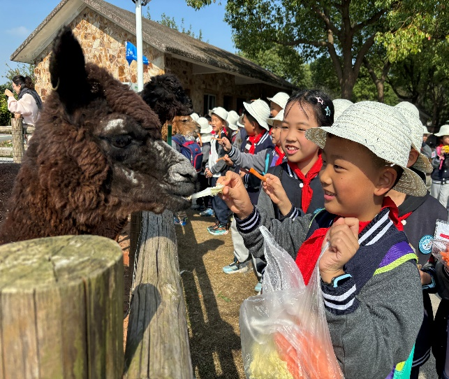 图片2.png 图片2.png