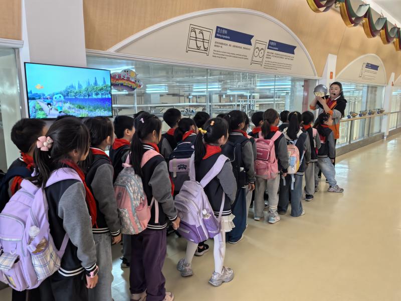 IMG_20241106_103440.jpg IMG_20241106_103440.jpg