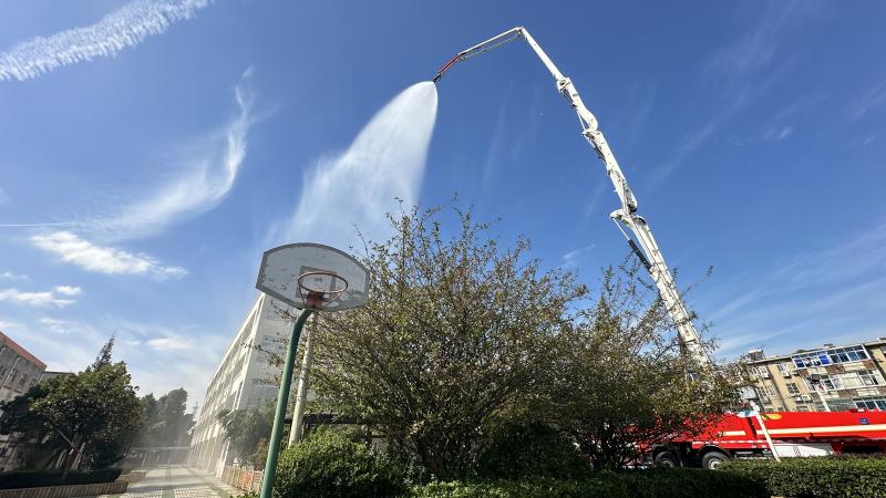 IMG_6878(20241108-123202).JPG IMG_6878(20241108-123202).JPG